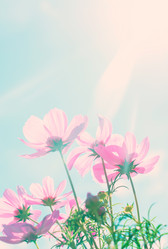 Similar image 11913967