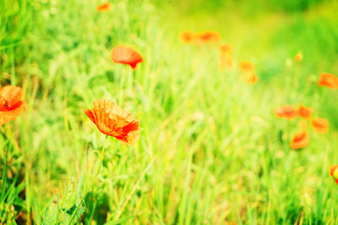 Similar image 11913406