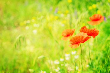 Similar image 11913436