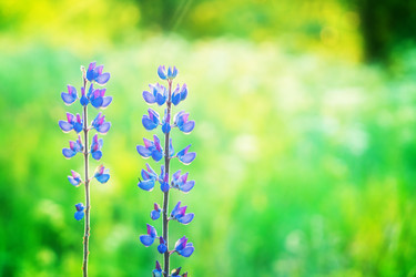 Similar image 11911864