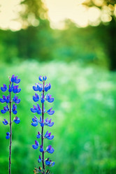 Similar image 11911865