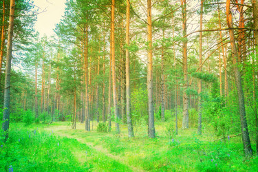 Similar image 11912497