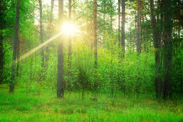 Similar image 11913095