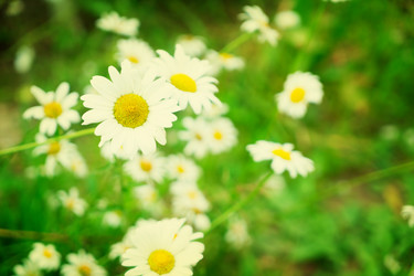 Similar image 11913229