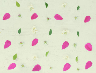 Similar image 11913948