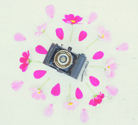 Similar image 11911784