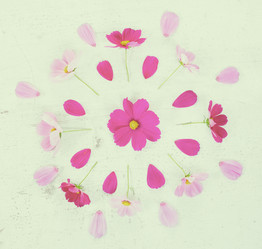 Similar image 11911785