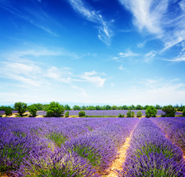 Similar image 11914026