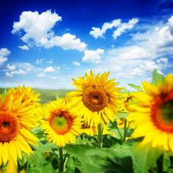 Similar image 11914041