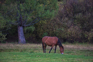 Similar image 11891125