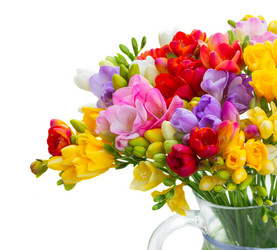 Similar image 11912283