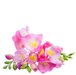 Similar image 11912298