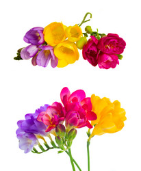 Similar image 11912393