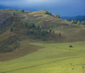 Similar image 11890368