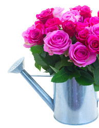 Similar image 11912986