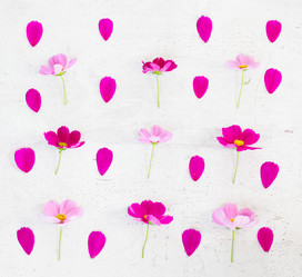 Similar image 11913038