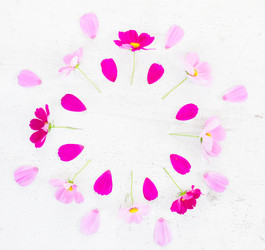 Similar image 11913059