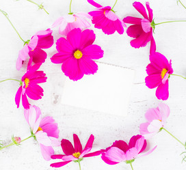 Similar image 11913060