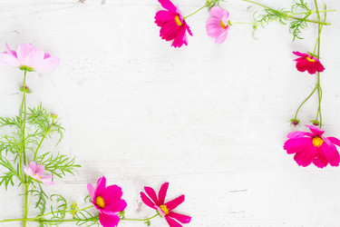 Similar image 11913061