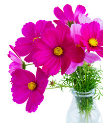 Similar image 11913076