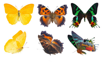 Similar image 11912413