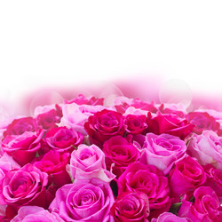 Similar image 11912452