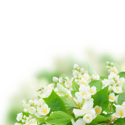 Similar image 11912479