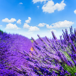 Similar image 11914030