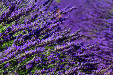 Similar image 11914031