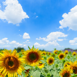 Similar image 11914066