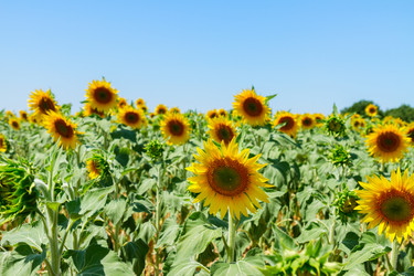 Similar image 11900303