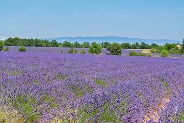 Similar image 11900323