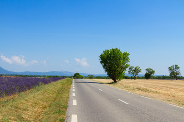 Similar image 11894744