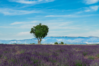 Similar image 11894781