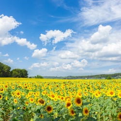 Similar image 11894783