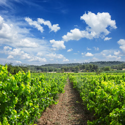 Similar image 11894800