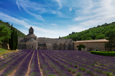 Similar image 11894820