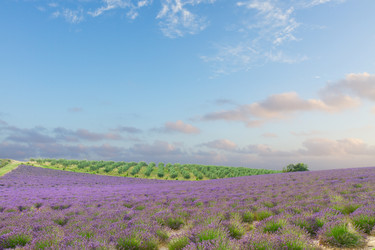 Similar image 11894840