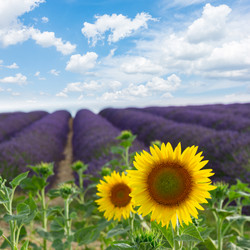 Similar image 11898349