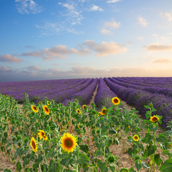 Similar image 11898488