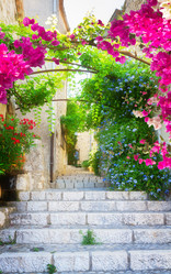 Similar image 11899234