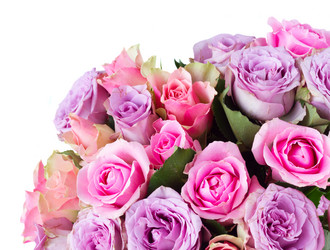 Similar image 11898284