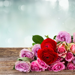 Similar image 11898863