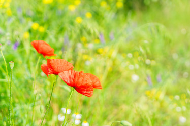 Similar image 11894823