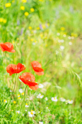 Similar image 11894846