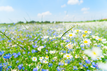 Similar image 11898507