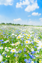 Similar image 11898508