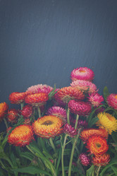 Similar image 11898207