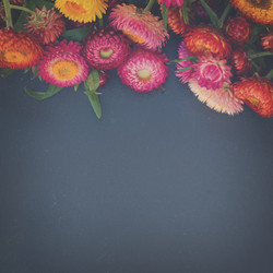 Similar image 11898208