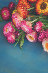 Similar image 11899751